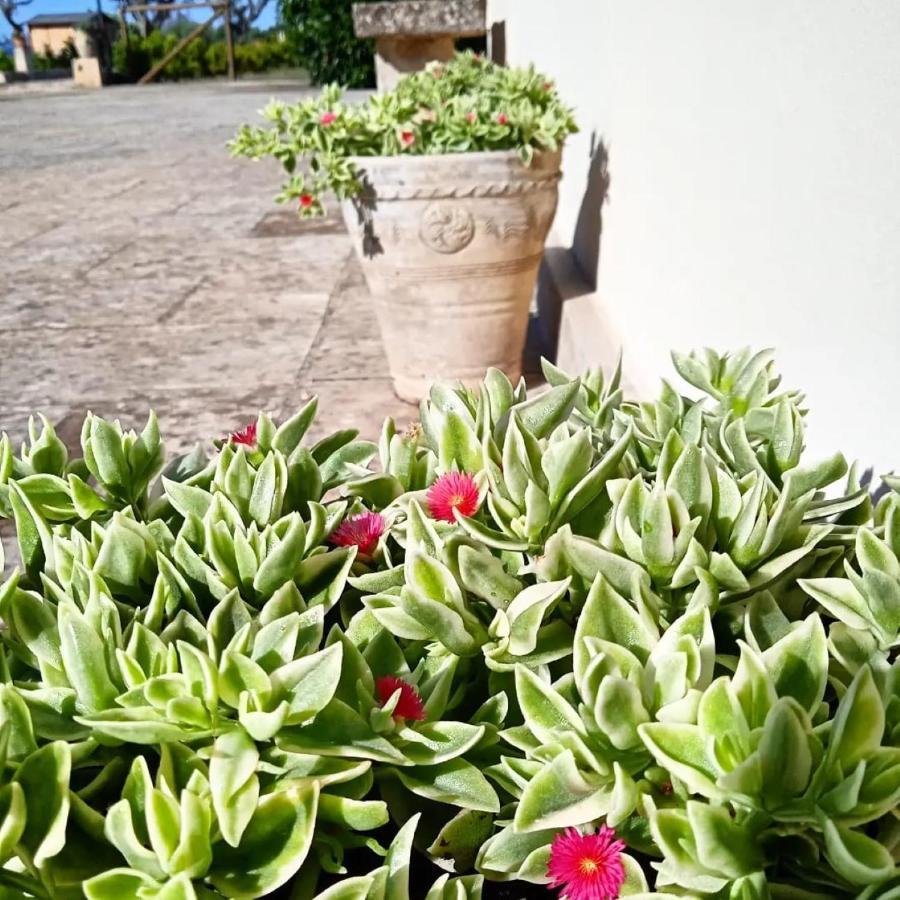 Bed and Breakfast Nicuzza Martano Exterior foto